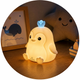 Veilleuse Pingouin